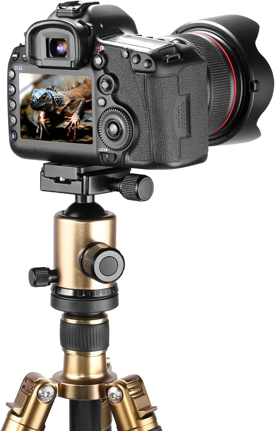 Image du produit 4